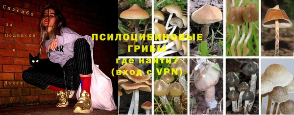 молекула духа Алзамай