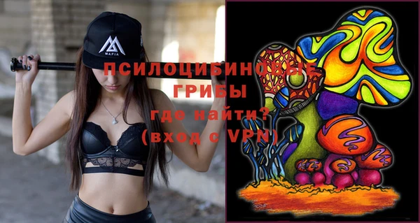молекула духа Алзамай