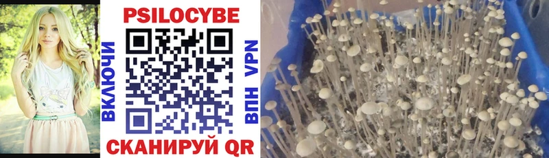 Галлюциногенные грибы Psilocybine cubensis  даркнет сайт  Красноуфимск 
